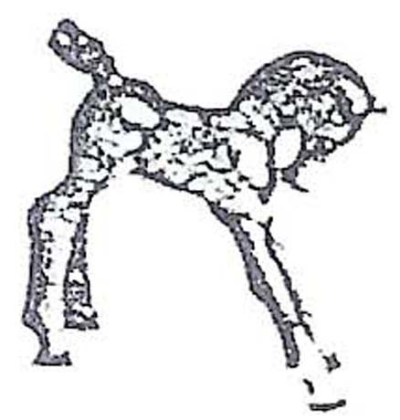 Hubley's Minature Colt doorstop